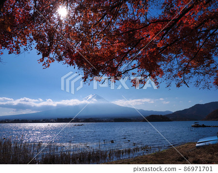 Mt. Fuji and autumn leaves in late autumn 86971701