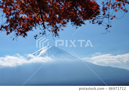 深秋的富士山和秋葉 86971712