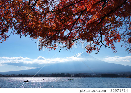 深秋的富士山和秋葉 86971714