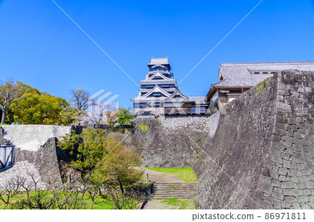 熊本城和櫻花 熊本城和櫻花 86971811