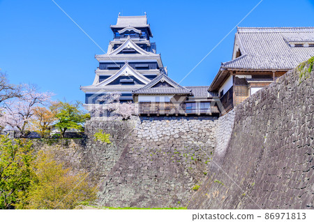 熊本城和櫻花 86971813