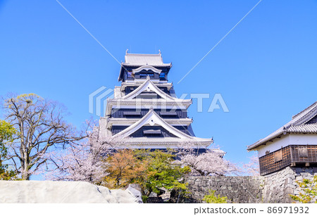 Kumamoto Castle and cherry blossoms 86971932