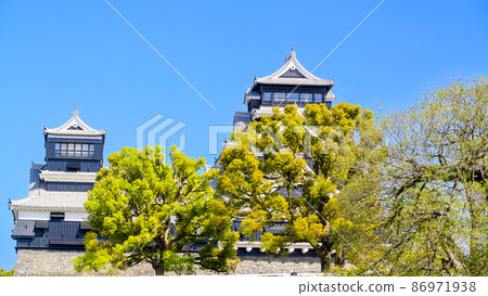 Kumamoto Castle and cherry blossoms 86971938