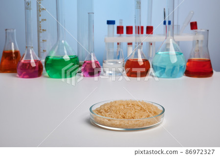 Rice in Petri Dish - Chemical Labs Photo 86972327