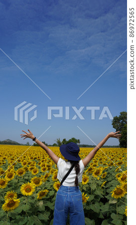 Asian woman standing and open arms in the sunflower field 86972565