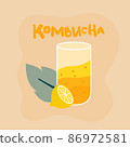 Glass of refreshing kombucha drink, mint leaf and lemon. Sweet delicious summer beverage. Fermented drink made with tea, sugar, bacteria and yeast  86972581