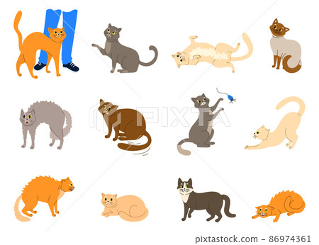 Cats Emotions Body Language Set 86974361
