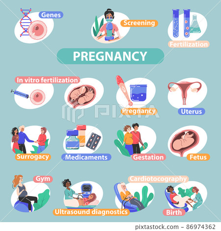 Pregnancy Fertility Flat Infographics 86974362