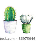 Two cacti in pots painted in watercolor. 86975946