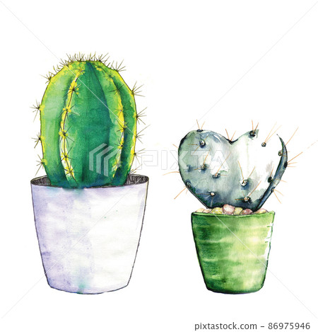 Two cacti in pots painted in watercolor. 86975946
