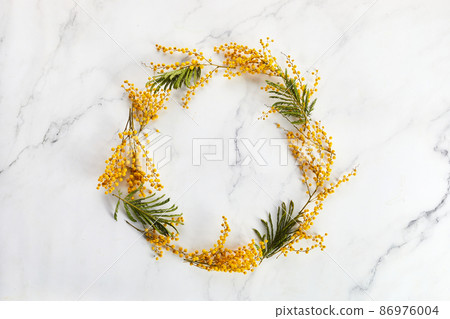 Round frame from Mimosa flower. Minimal spring holiday concept. Round frame from Mimosa flower. Minimal spring holiday concept. 86976004