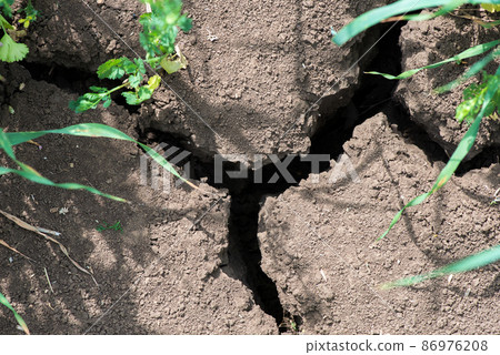 Crack soil on dry season, Global worming effect. Crack soil on dry season, Global worming effect. 86976208