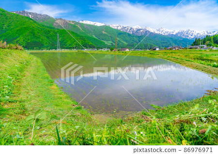 初夏的白馬村和北阿爾卑斯的稻田景觀[長野縣] 86976971