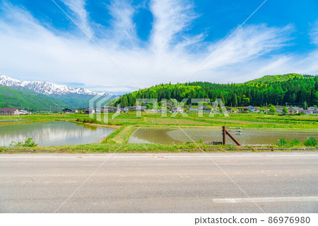 初夏的白馬村和北阿爾卑斯的稻田景觀[長野縣] 86976980