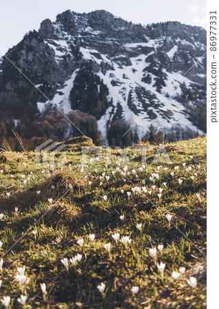 Swiss mountains - monumental rock formations in the Alps Swiss mountains - monumental rock formations in the Alps 86977331