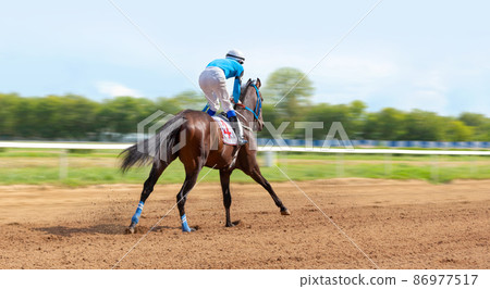 Galloping race horse in racing competition. Jockey on racing horse. Sport. Champion. Hippodrome. Equestrian. Derby. Speed 86977517