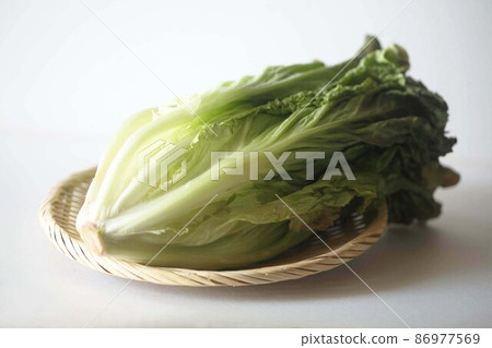 Vegetable sunny lettuce Vegetable sunny lettuce 86977569