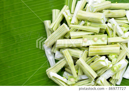Moringa oleifera on banana leaves 86977727