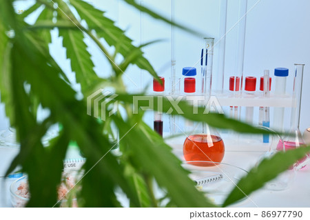 Photo of Cannabis and Lab Desk 86977790