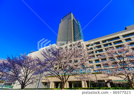 赤坂,港區,東京東京中城和盛開的櫻花 赤坂,港區,東京東京中城和盛開的櫻花 86977823