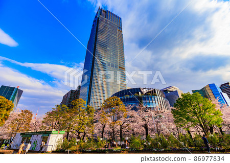 赤坂，港區，東京東京中城和盛開的櫻花 86977834