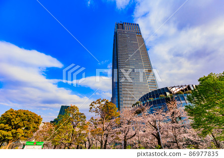 赤坂，港區，東京東京中城和盛開的櫻花 86977835
