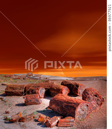 Petrified Forest Sunset 86977921