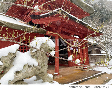 雪和Shiba Inu 雪和Shiba Inu 86979477
