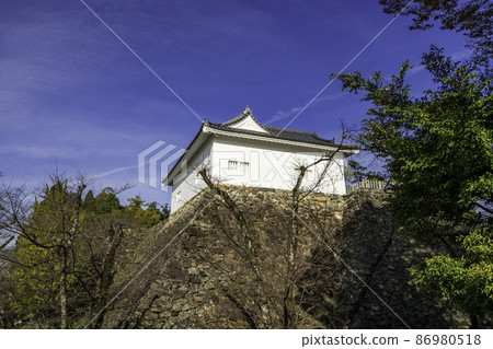 Kameyama Castle Tamon Tower, Kameyama City, Mie Prefecture 86980518