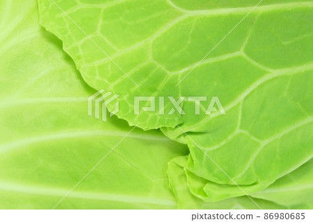 【白菜】(深度合成) 【白菜】(深度合成) 86980685