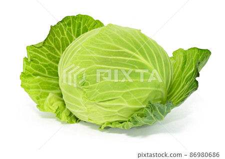 【白菜】(深度合成) 【白菜】(深度合成) 86980686