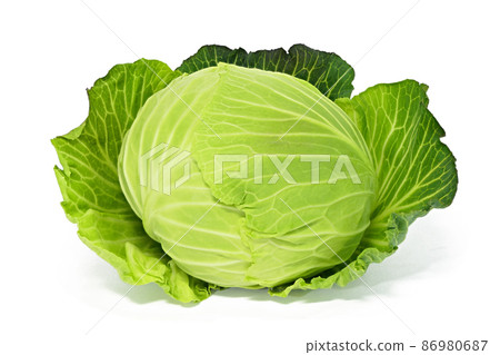 【白菜】（深度合成） 86980687