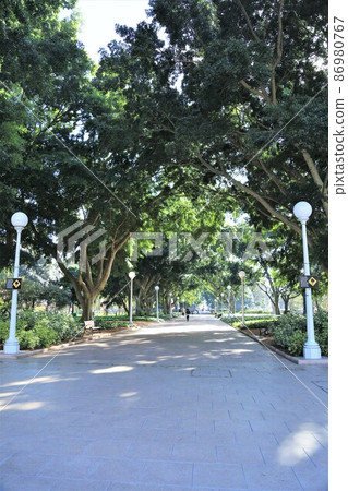 海德公園（澳大利亞，悉尼） 86980767