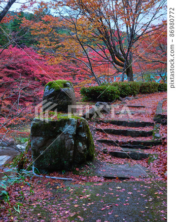 秋天的奧津溪谷 86980772