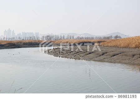 生態公園 生態公園 86981193