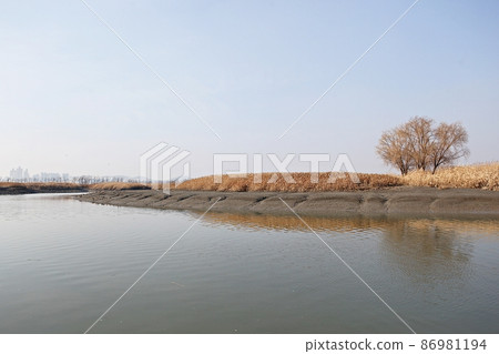 生態公園 生態公園 86981194