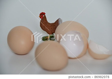 Chicken and eggs Chicken and eggs 86982078