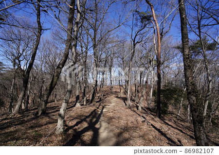 大田區八王子之丘徒步路線從唐佐山到菅潮峠到稻田峠,一條明亮的山脊步道 大田區八王子之丘徒步路線從唐佐山到菅潮峠到稻田峠,一條明亮的山脊步道 86982107
