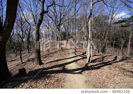 大田區八王子之丘徒步路線從唐佐山到菅潮峠到稻田峠,一條明亮的山脊步道 大田區八王子之丘徒步路線從唐佐山到菅潮峠到稻田峠,一條明亮的山脊步道 86982108