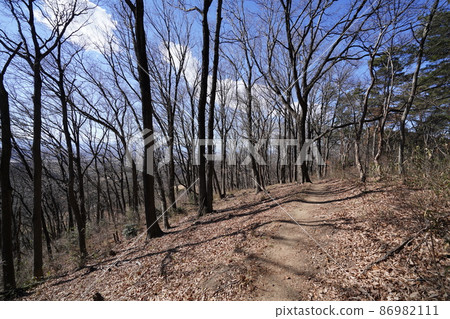 Ota City Hachioji Hills Hiking Trail From Karasawayama to Sugashio Pass to Paddy Mountain Pass A gentle descent to Paddy Mountain Pass Ota City Hachioji Hills Hiking Trail From Karasawayama to Sugashio Pass to Paddy Mountain Pass A gentle descent to Paddy Mountain Pass 86982111