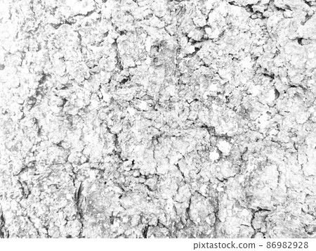 Rugged bark texture background (black and white) 1-3 Rugged bark texture background (black and white) 1-3 86982928