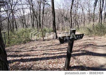 大田區八王子丘陵徒步路線 從唐佐山到菅潮峠到稻田山峠 0.2km 到稻田峠的實物標誌 86983404