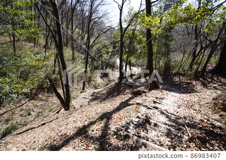 大田區八王子之丘徒步旅行路線從唐佐山到菅潮峠到稻田峠 可以看到通往稻田峠的下路。 大田區八王子之丘徒步旅行路線從唐佐山到菅潮峠到稻田峠 可以看到通往稻田峠的下路。 86983407