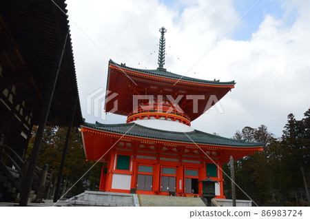 高野山/ Danjo Gaya的“根塔”（和歌山縣伊東郡高野市山高野寺，高野山/高野山） 86983724