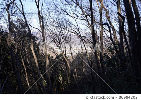 Kiryu City Hachioji Hills Paddy Mountain Pass 到 Chausuyama 徒步路線 從 Chausuyama 山頂附近的山脊到足利市 86984202