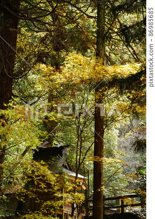 Scenery of Amano Lwatowake Shrine in late autumn 2 Mimasaka City, Okayama Prefecture 86985685