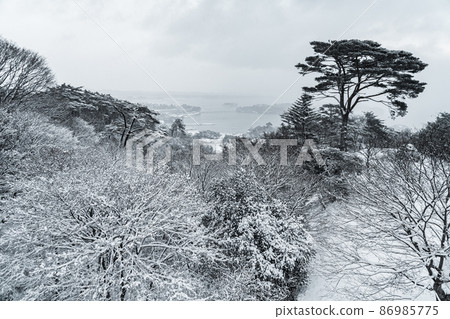 Matsushima Bay (Matsushima Town, Miyagi Prefecture) seen from Matsushima Park, one of the three most scenic spots in Japan 86985775