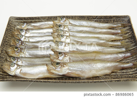 來自北海道的丸幹shishamo 86986065