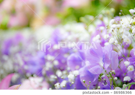 殯儀館花壇 86986366