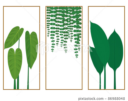 Tropical plants triptych painting vector illustration Tropical plants triptych painting vector illustration 86988048